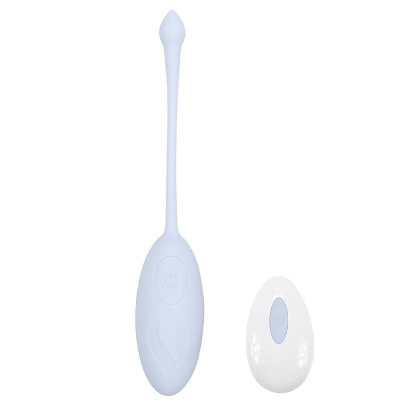 Vibrador Ovinho Bullet com Controle Remoto e 12 Níveis de Vibrações - DanX