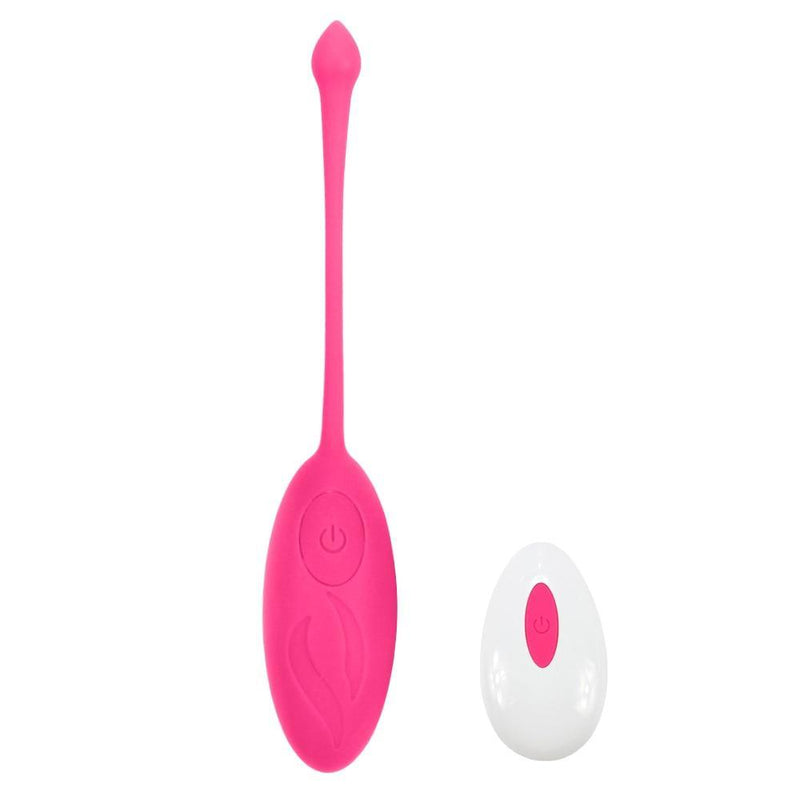 Vibrador Ovinho Bullet com Controle Remoto e 12 Níveis de Vibrações - DanX