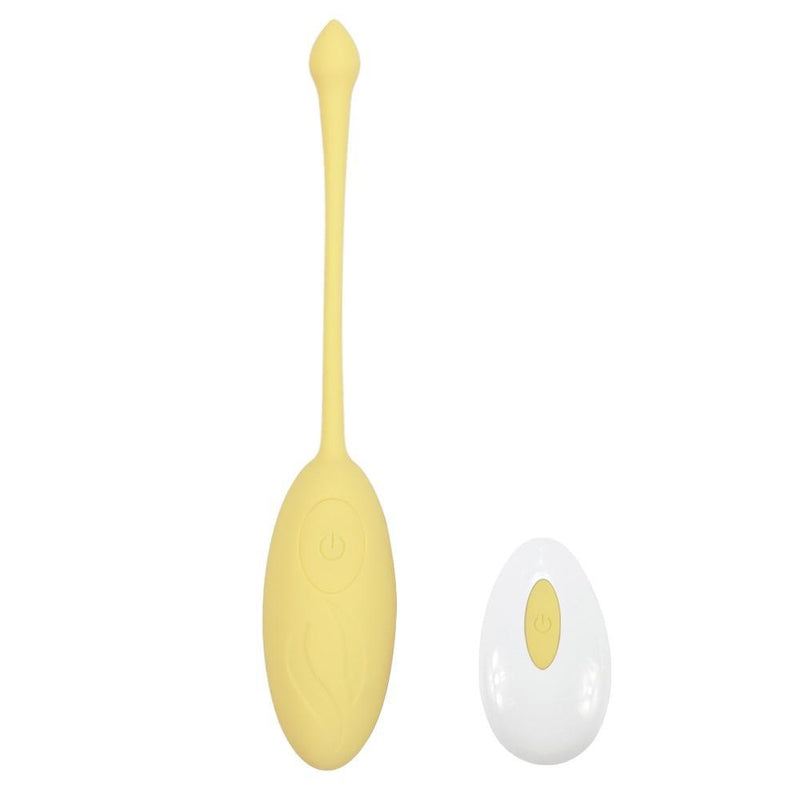 Vibrador Ovinho Bullet com Controle Remoto e 12 Níveis de Vibrações - DanX